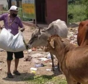 गौसेवा और स्वच्छता के प्रति जागरूकता | राष्ट्रीय सुरक्षा एवं सेवा ट्रस्ट 🙏🐄