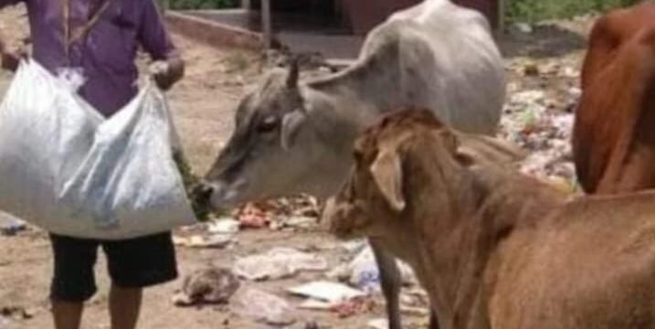 गौसेवा और स्वच्छता के प्रति जागरूकता | राष्ट्रीय सुरक्षा एवं सेवा ट्रस्ट 🙏🐄
